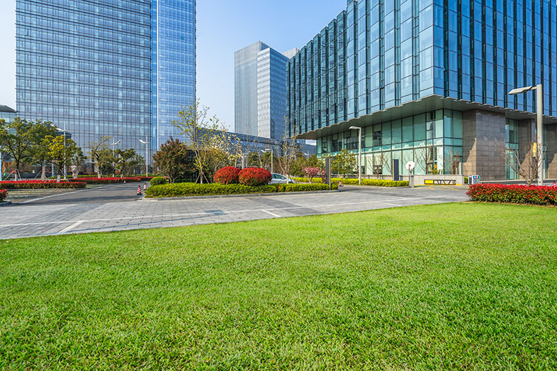 office-building-grounds